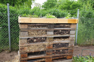 Bau eines Insektenhotel 02.05.2019