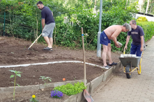Bau von Insekten Hotels für den KGV Wulfen