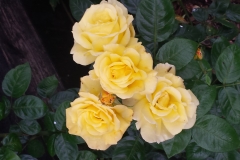 20160717_081841