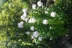 20160818_154136