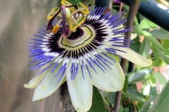 43bab68425650369ffff80a6fffffff2