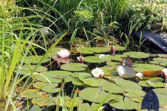 43bab68425650369ffff80a7fffffff2