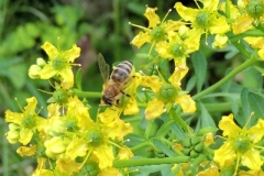 43bab68425650369ffff80abfffffff2