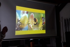 IMG-20191102-WA0031