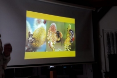IMG-20191102-WA0032
