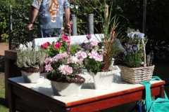 426e50f0380a6c0bffff8115fffffff0