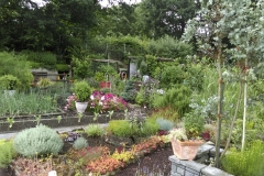 Blick in einen Garten