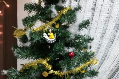 2016-12-19 at 18.49.40 (1)