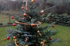 2016-12-19 at 18.52.28 (1)