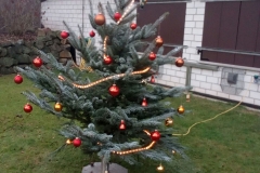 2016-12-19 at 18.53.27 (1)