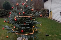 2016-12-19 at 18.53.27 (3)