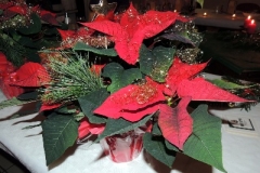 55cf673d30951b2ffff8048fffffff0